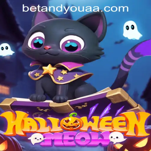 HalloweenMeow: Unveiling the Spooky Thrills of '144 Bet'