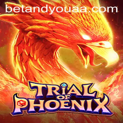 Trial of Phoenix: Exploring the Mythical Game and Its Unique 144 Bet Feature