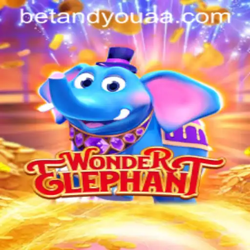 The Enchanting World of WonderElephant: Mastering the 144 Bet